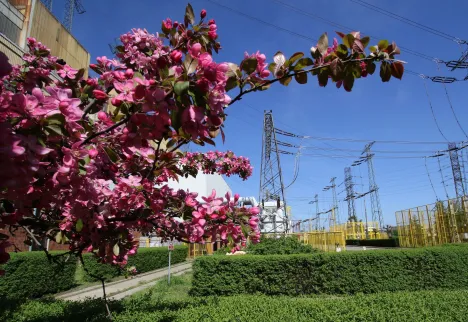 Enea Bioenergia