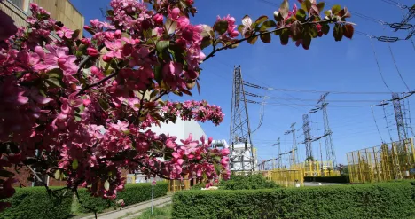 Enea Bioenergia